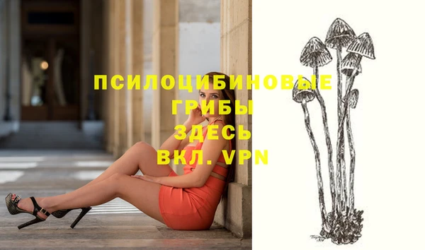 MESCALINE Няндома