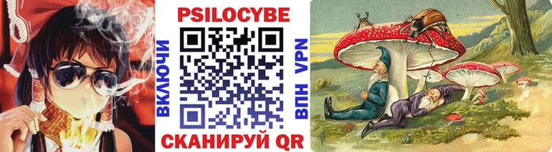 Псилоцибиновые грибы Magic Shrooms  Купить где  Краснообск 